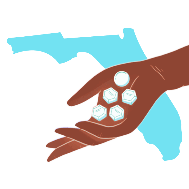 Abortion pill Florida