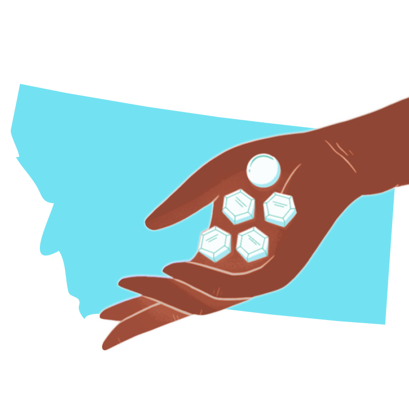 Abortion pill Montana